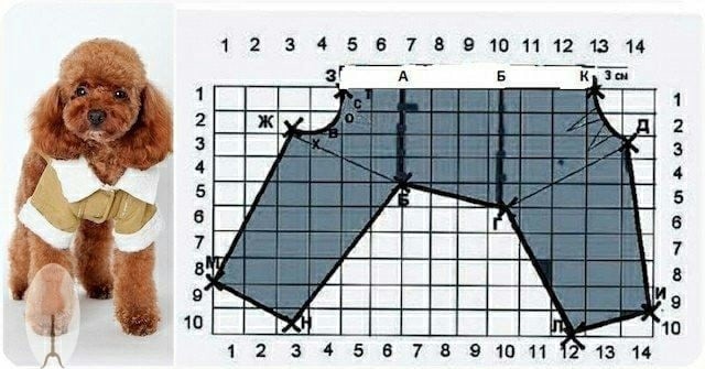 ​Комбинезон для собачки
