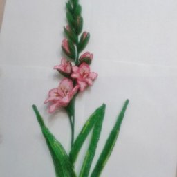 Гладиолус