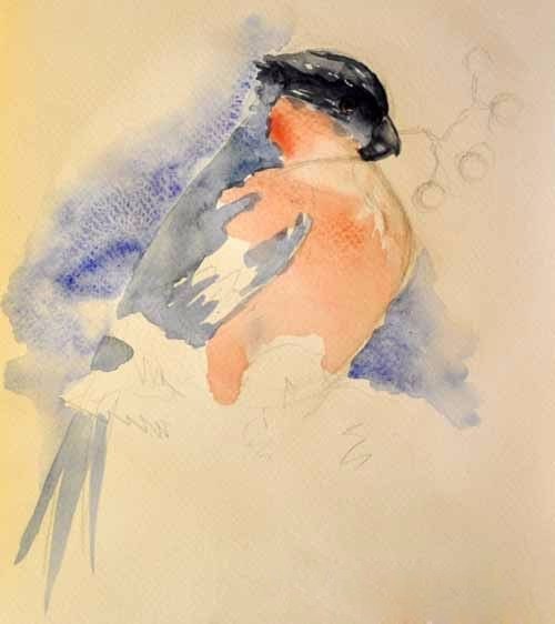 Рисуем снегиря