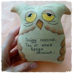 ​Забавная сова