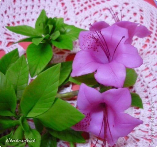 ​Азалия из холодного фарфора