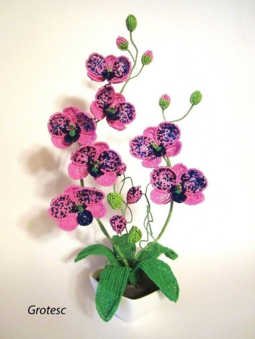 Красота для вашего вдохновения Красота для вашего вдохновения