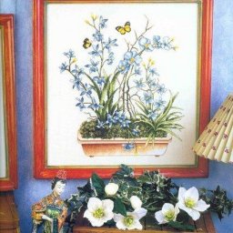 Орхидеи и бабочки