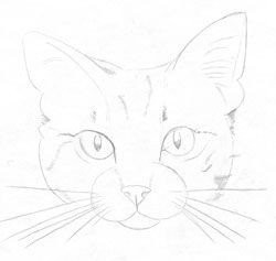 Рисуем кошку Рисуем кошку