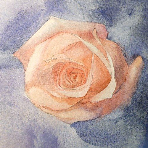 Рисуем розу акварелью