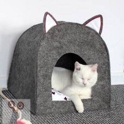 Место, где ваш питомец будет счастлив