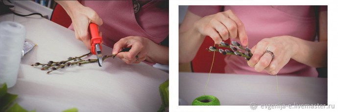 Куколка Вербница