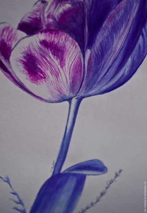 Зимний тюльпан в технике акварельной живописи Зимний тюльпан в технике акварельной живописи