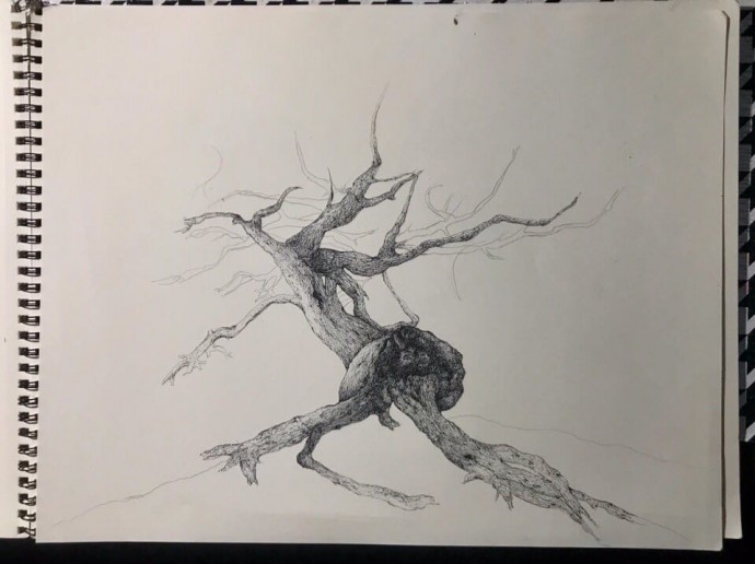 Рисуем дерево на горе: мастер-класс