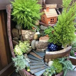 Композиции в горшках