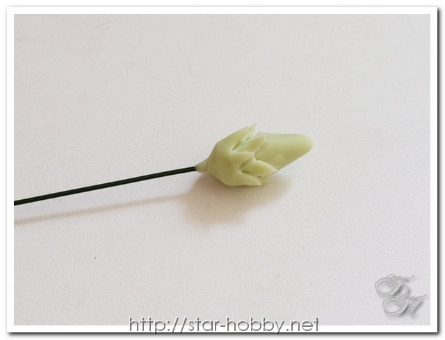 Мастер-класс по лепке магнолии