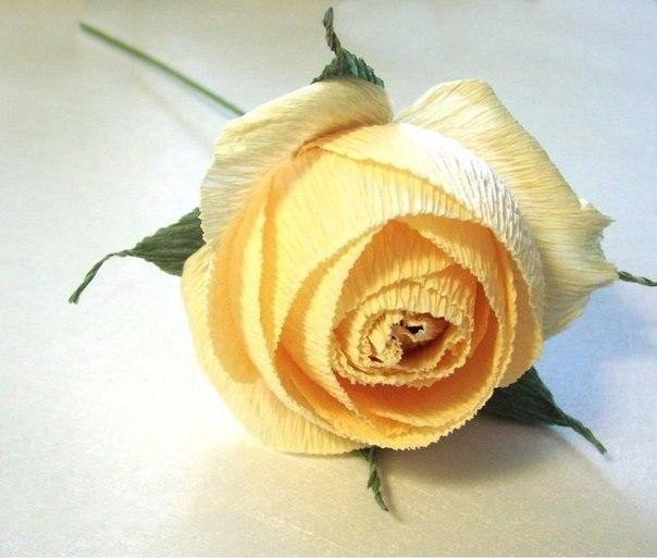 Роза из гофрированой бумаги