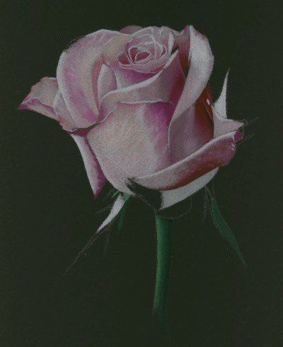 Урок рисования: роза
