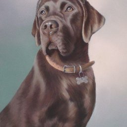 ​Урок рисования: собака