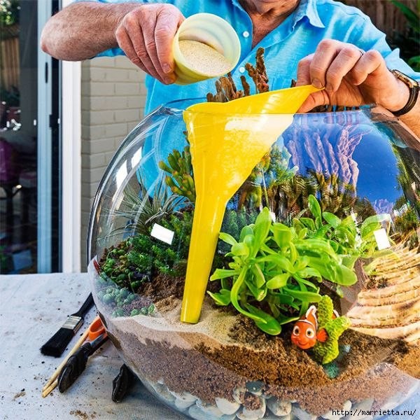 Флорариум своими руками