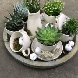 Цветочные идеи для сада