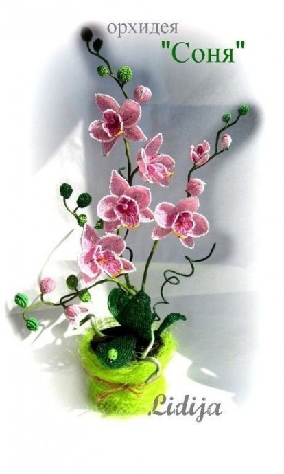 Красота для вашего вдохновения Красота для вашего вдохновения