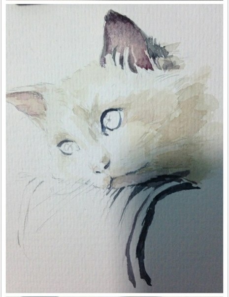 Портрет кошки акварелью