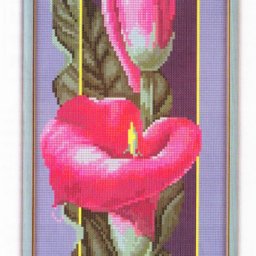 ​Вышиваем восхитительные каллы