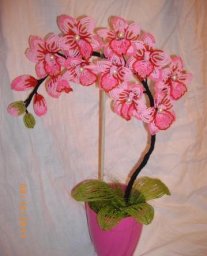 Чудесные орхидеи их бисера