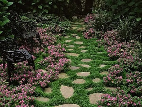 Красивые дорожки на даче: идеи для творчества