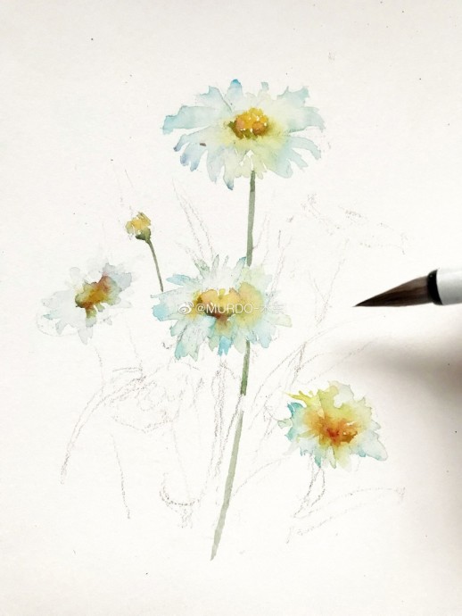 Урок рисования акварелью: ромашки