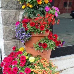 ​Идеи клумб из горшков