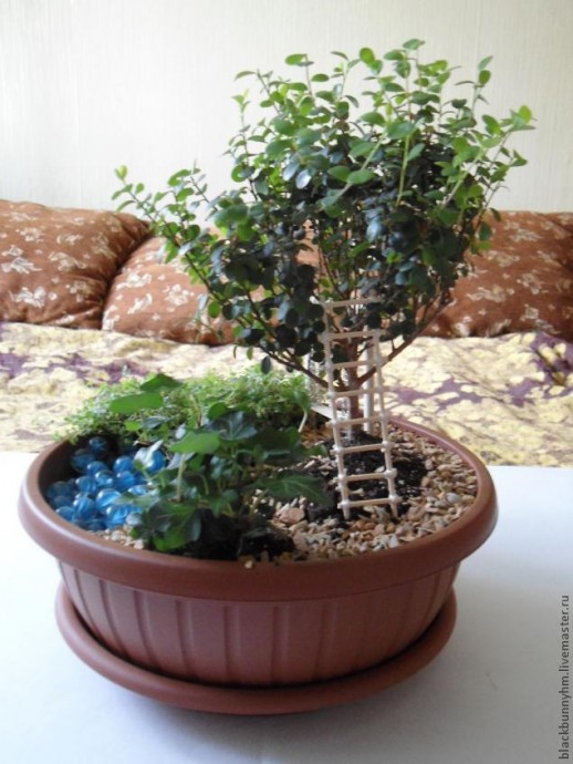 Сад в миниатюре: мастер-класс