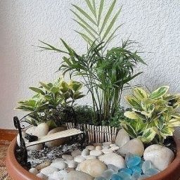 Мини-садик в горшке