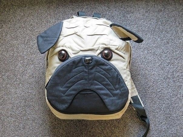 ​Неожиданно милый рюкзак в виде собачки