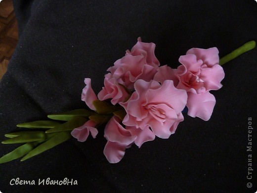 Гладиолус как живой