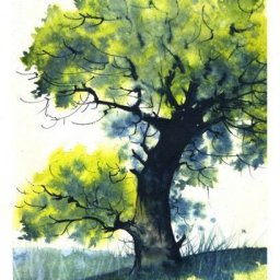 Урок рисования акварелью: раскидистое дерево