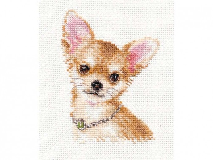 ​Маленькая собачка