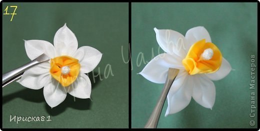 Правдоподобный и изумительно красивый нарцисс