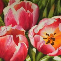 ​Рисуем красивые тюльпаны