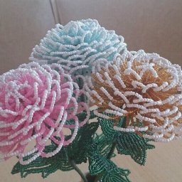 ​Двухцветные хризантемы из бисера