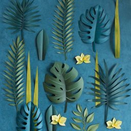 Тропические листья