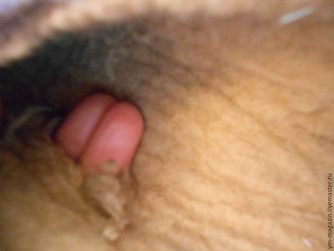 Ремонтируем любимые валяные тапочки