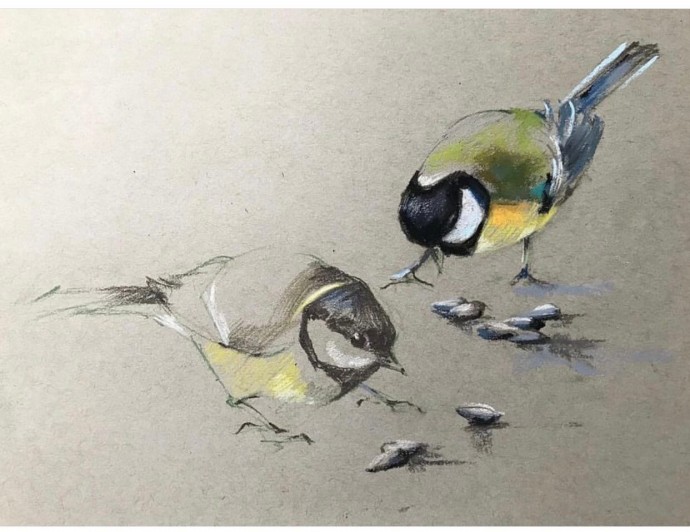 Урок рисования цветными карандашами: синички