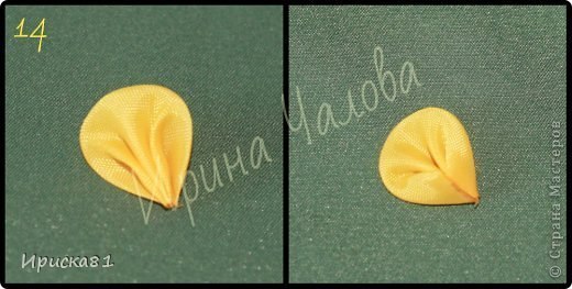 Правдоподобный и изумительно красивый нарцисс