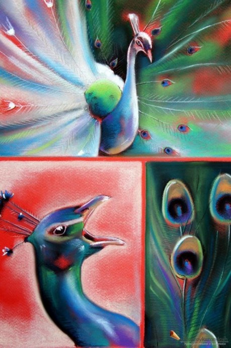 ​Рисуем павлина