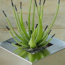 ​Суккуленты из бисера: идеи для вдохновенного творчества