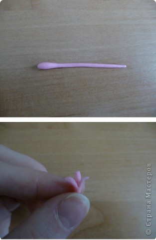 Гладиолус как живой