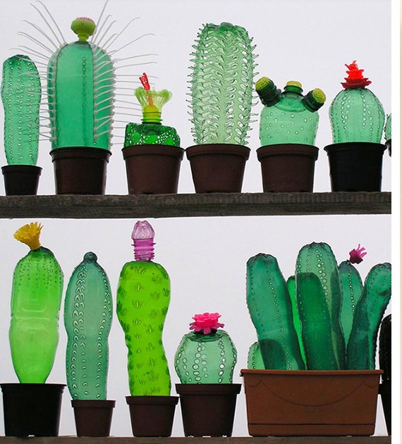 Кактусы из пластиковых бутылок: идеи для творчества