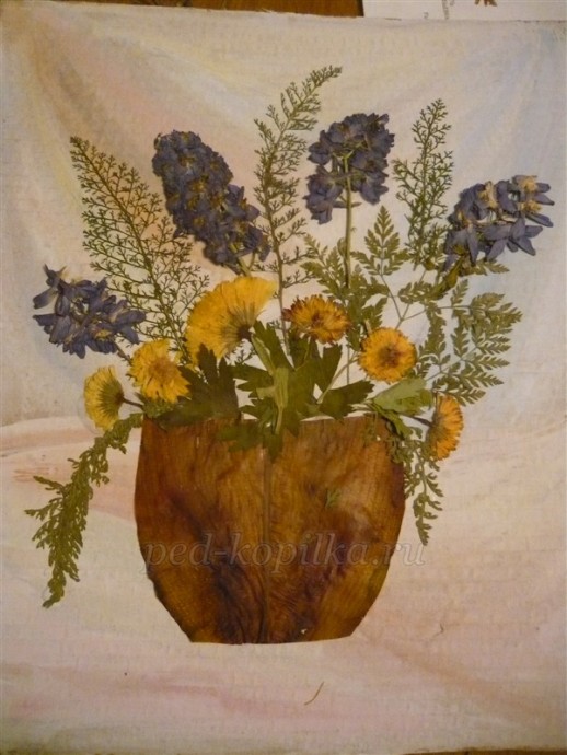 Картина из засушенных растений: мастер-класс