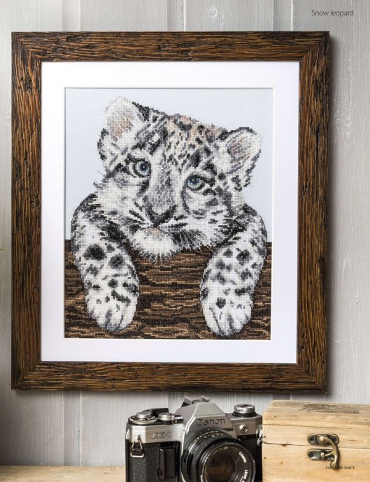 Вышиваем малыша из семейства кошачьих Вышиваем малыша из семейства кошачьих