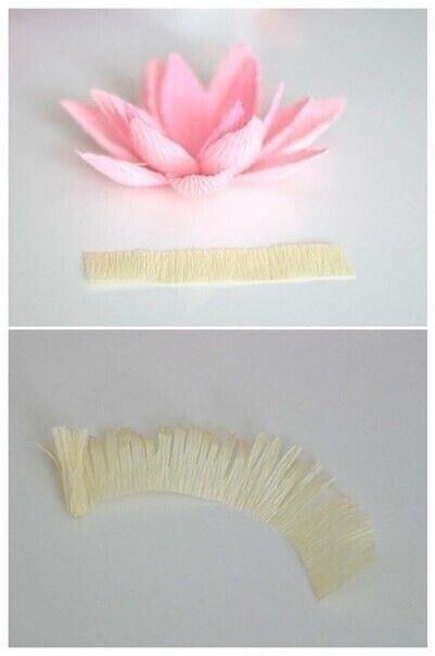 Нежные лотосы из гофре бумаги