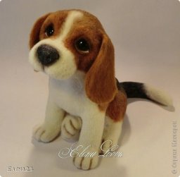 Валяем милого щенка