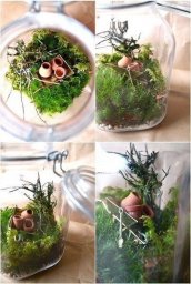 Флорариум в банке: идеи для вдохновения