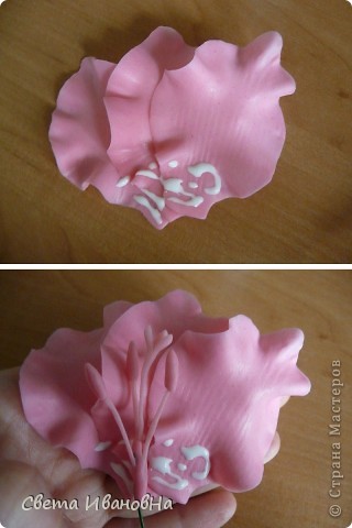 Гладиолус как живой